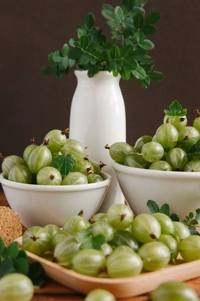 Taze organik bektaşi 