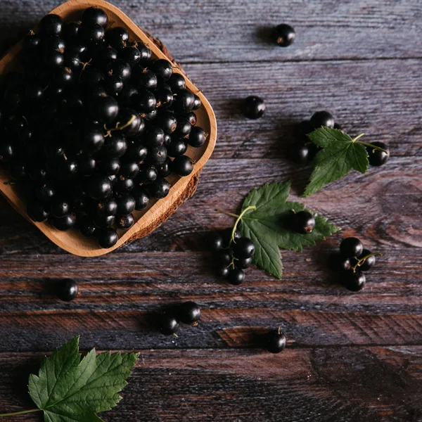 Olgun blackcurrant ile kahverengi plaka 