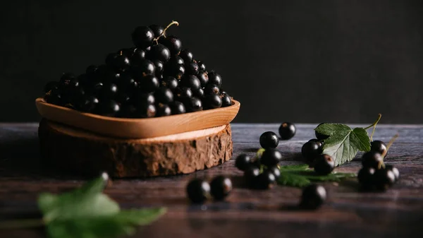 Olgun blackcurrant ile kahverengi plaka 