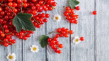 papatya çiçeği ile olgun somun