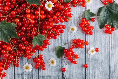 papatya çiçeği ile olgun somun