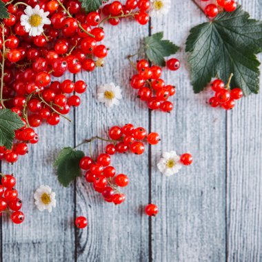 papatya çiçeği ile olgun somun