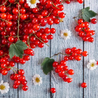 papatya çiçeği ile olgun somun