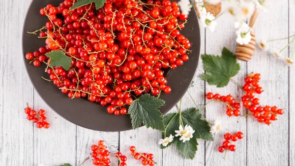 Ripe redcurrant and honey dipper — Stock Photo, Image