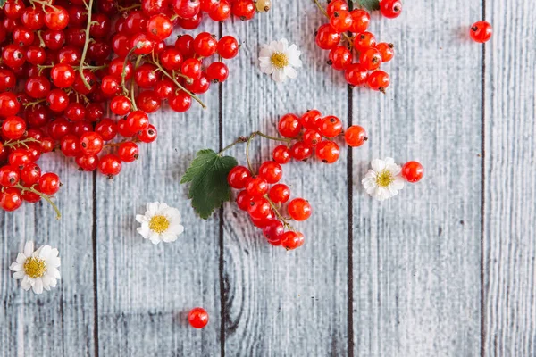 papatya çiçeği ile olgun somun