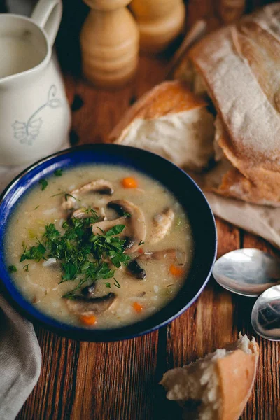 Świeża gotowana zupa grzybowa — Zdjęcie stockowe