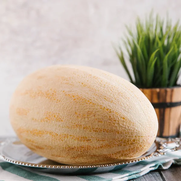 Mogna och färsk melon — Stockfoto