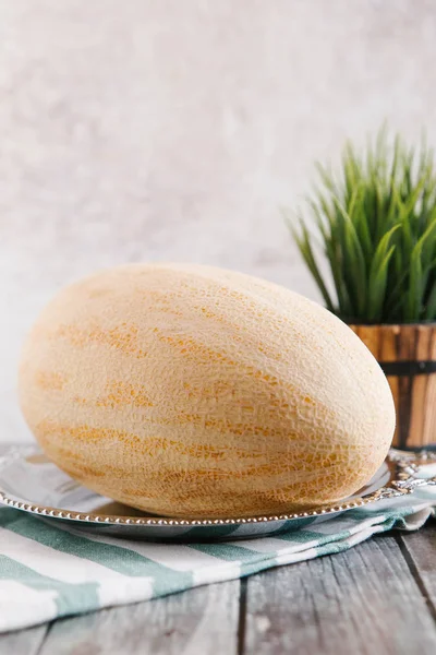 Mogna och färsk melon — Stockfoto