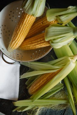 Kevgir içinde saf Mısır