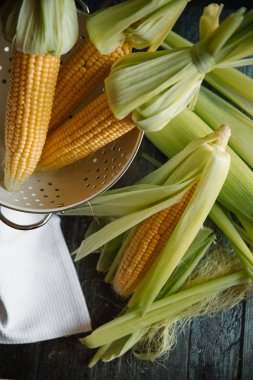 Kevgir içinde saf Mısır