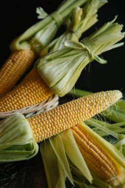 Kevgir içinde saf Mısır