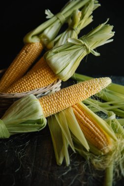 Kevgir içinde saf Mısır