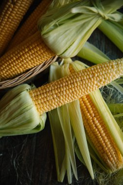 Kevgir içinde saf Mısır