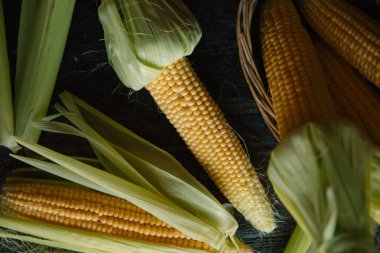 Kevgir içinde saf Mısır