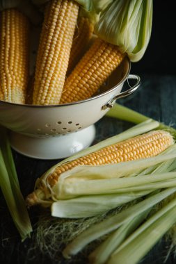 Kevgir içinde saf Mısır