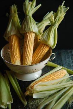 Kevgir içinde saf Mısır