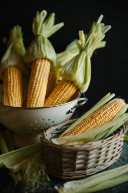 Kevgir içinde saf Mısır