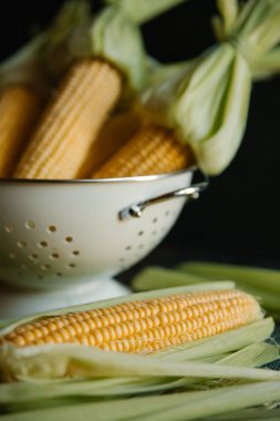 Kevgir içinde saf Mısır