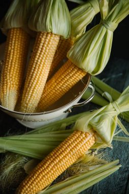 Kevgir içinde saf Mısır