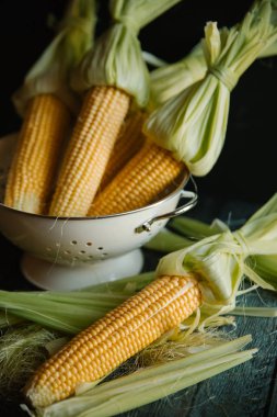 Kevgir içinde saf Mısır