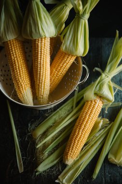 Kevgir içinde saf Mısır