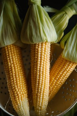 Kevgir içinde saf Mısır