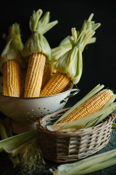 Kevgir içinde saf Mısır