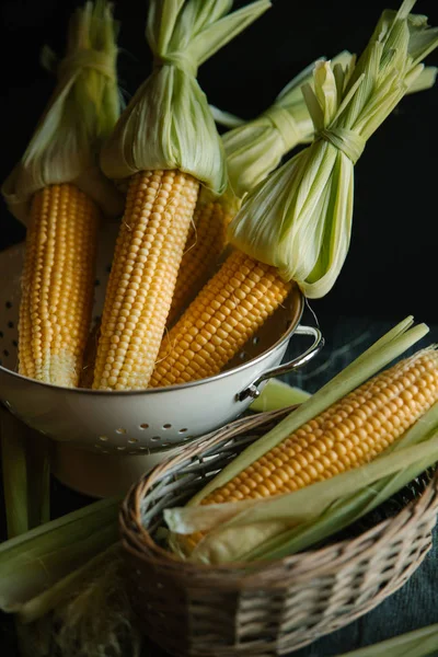 Kevgir içinde saf Mısır