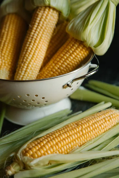 Kevgir içinde saf Mısır