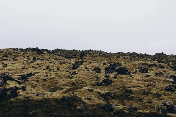 Naturaleza salvaje islandesa — Foto de Stock