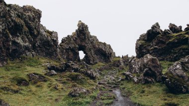 İzlanda vahşi doğa