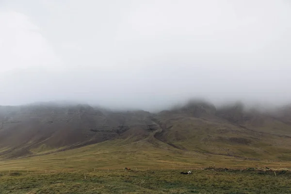 Paisagem das montanhas islandesas — Fotografia de Stock