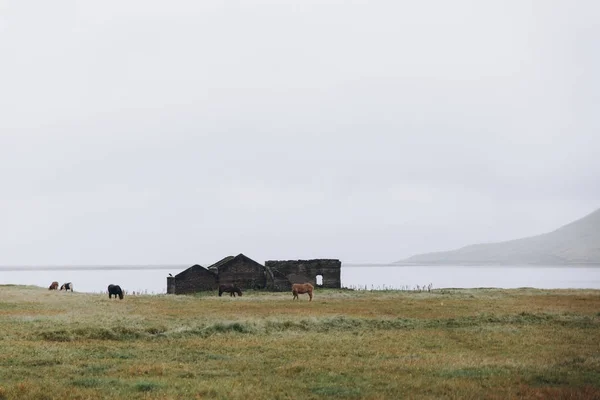 Casa de campo na paisagem maçante — Fotografia de Stock