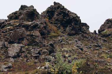 İzlanda vahşi doğa