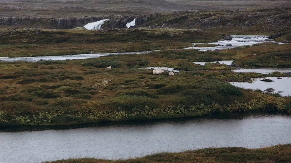 Floder, glaciärer och vattenfall — Stockfoto