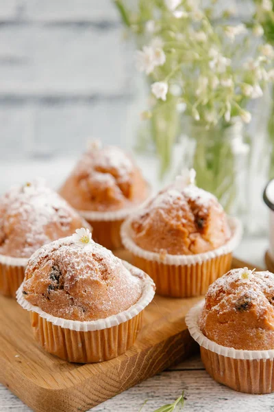 Vanilj muffins toppad med socker pulver — Stockfoto