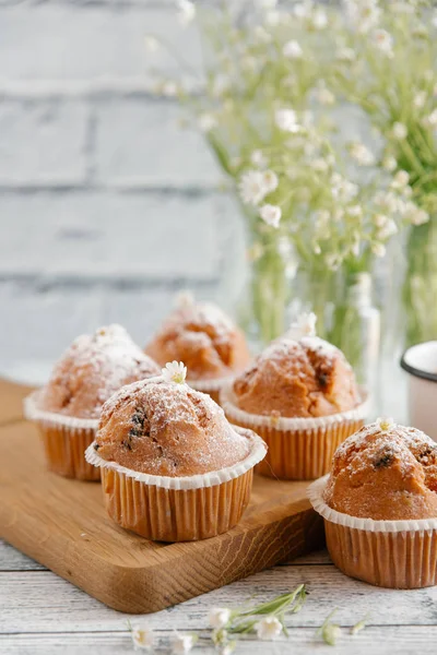 Tetején cukor por, vanília cupcakes — Stock Fotó