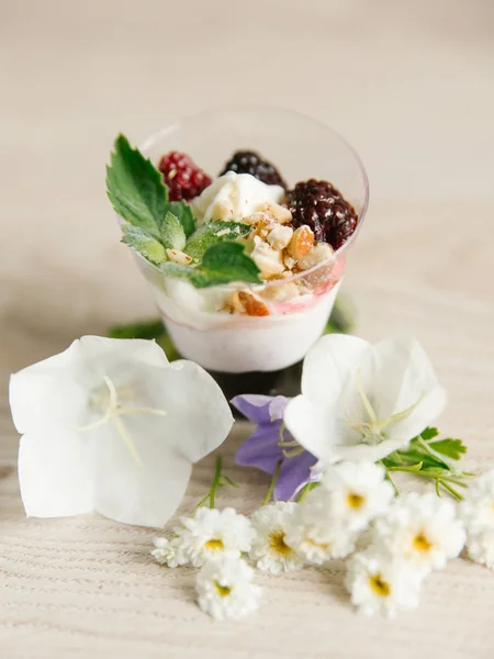 Grecki Jogurt Pitai Orzechy Mięty Jeżyny Górze Kwiatów Wokół Powierzchni — Zdjęcie stockowe