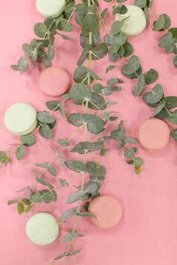 Pembe Pembe ve yeşil macarons okaliptüs ile kompozisyon bırakır