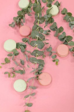 Pembe Pembe ve yeşil macarons okaliptüs ile kompozisyon bırakır