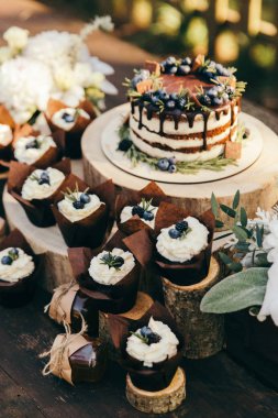 Berry pasta ve kek ile yaban mersini ve biberiye ahşap kütükler üzerinde kapat 