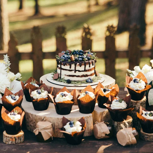 angle view of berry cake and cupcakes with blueberries and rosemary on wooden stumps