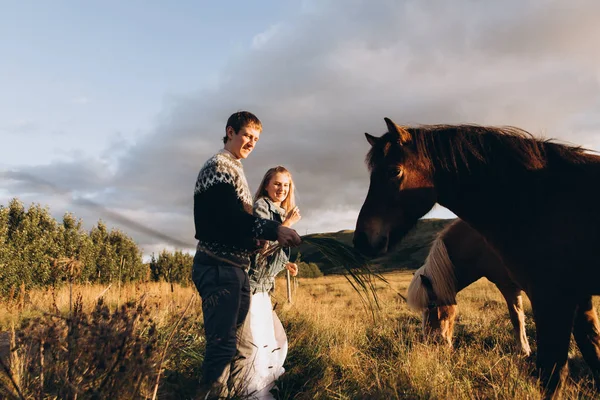 Jovem Casal Alimentando Cavalos Bonitos Campo — Fotografia de Stock