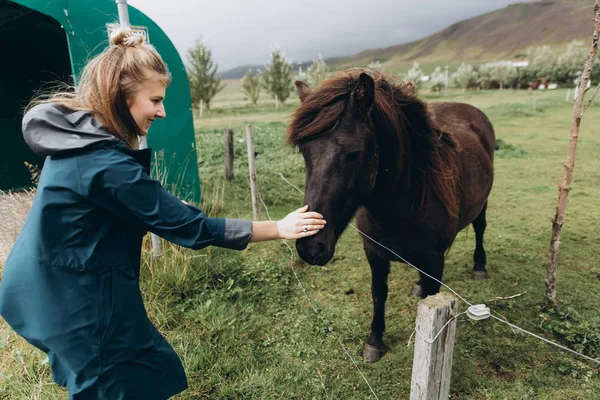 Jovem Mulher Acariciando Cavalo Peludo — Fotografia de Stock