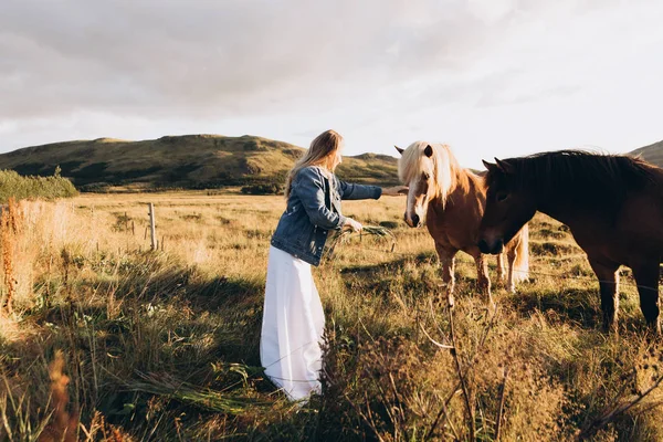 Jovem Mulher Alimentando Cavalos Bonitos Campo — Fotografia de Stock