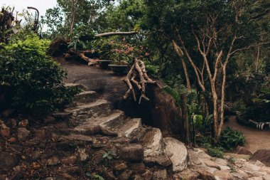 Egzotik park ile çeşitli bitkiler ve taş merdivenle görünümünü