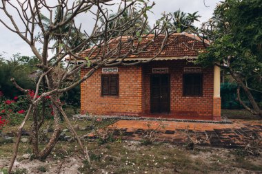 Kapı ve güzel yeşil bahçe içinde pencere eşiği ile tropikal ev cephe görünümü.