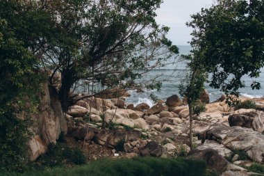 Boş cliff, ağaçlar ve berrak Denizi arka plan görünümü