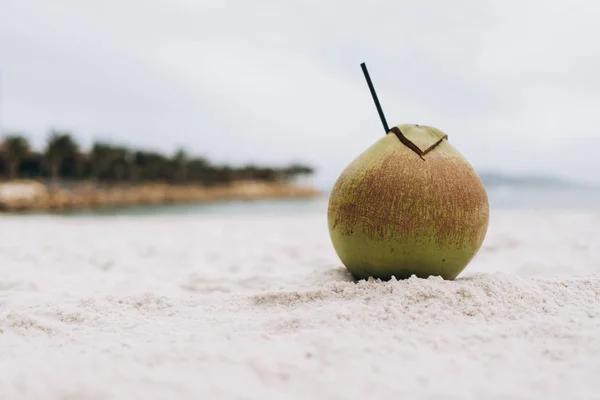 Nucă Cocos Tropicală Gustoasă Paie Fundalul Mării — Fotografie, imagine de stoc