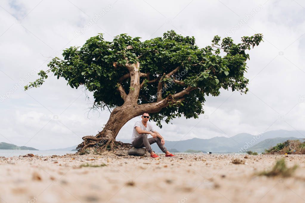 View of man sitting on the beach near tree